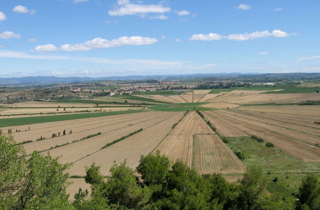 Montady